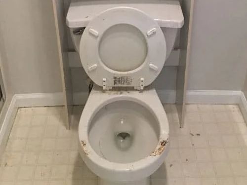 The same toilet cleaned and sanitised